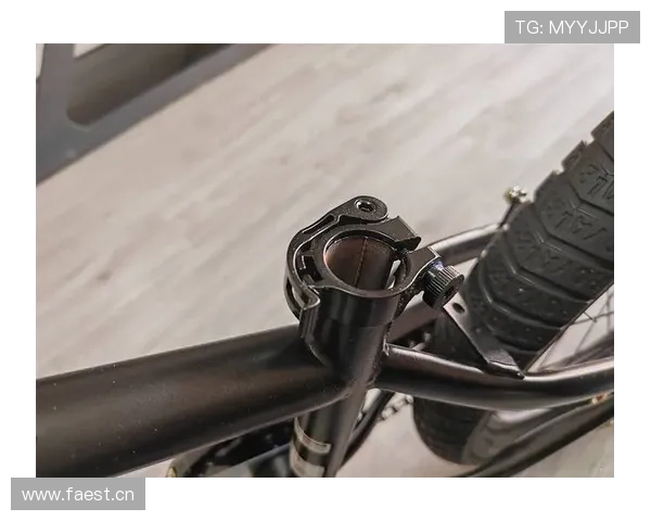 骑行技巧大揭秘：视频教学全程解析，助你快速掌握骑行技能